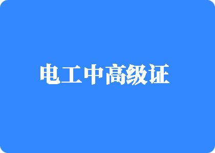 女人被草网站电工中高级证